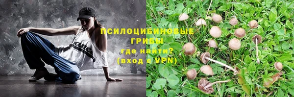 ПСИЛОЦИБИНОВЫЕ ГРИБЫ Алексин