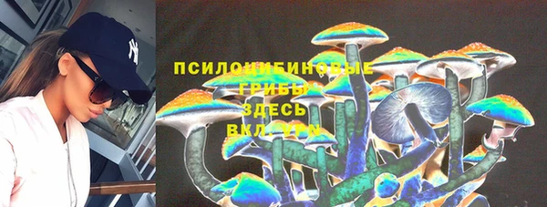 ПСИЛОЦИБИНОВЫЕ ГРИБЫ Алексин