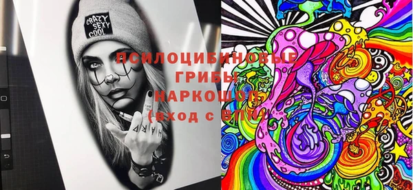спайс Алзамай