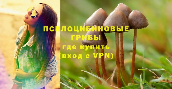 спайс Алзамай