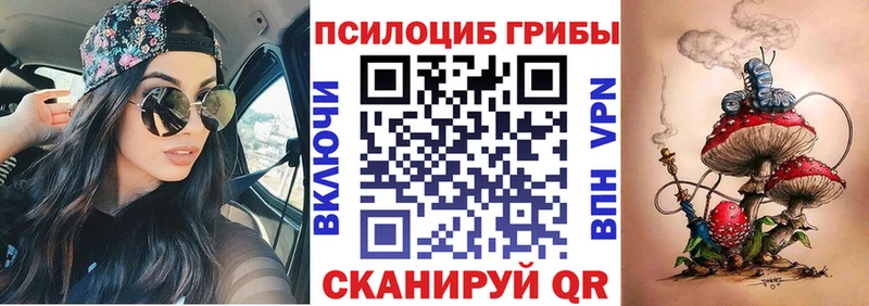 KRAKEN ссылка  где купить наркотик  Жиздра  Галлюциногенные грибы GOLDEN TEACHER 
